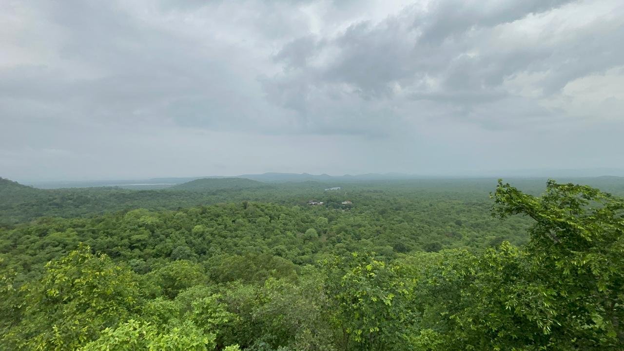 Wide forest landscape near Mancherial under a changing sky